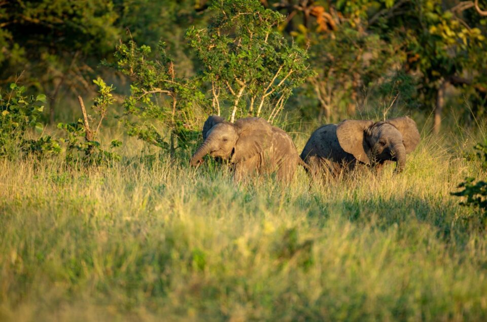 final-dl.beatsnoop.com-cFftNq8gvi