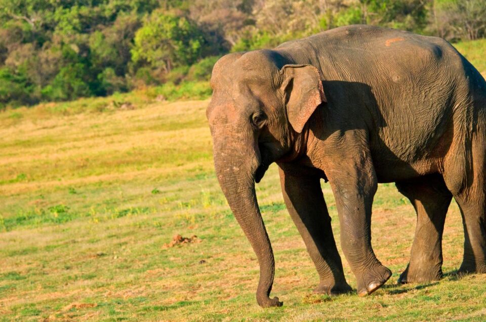 final-dl.beatsnoop.com-f2SwULNzFI