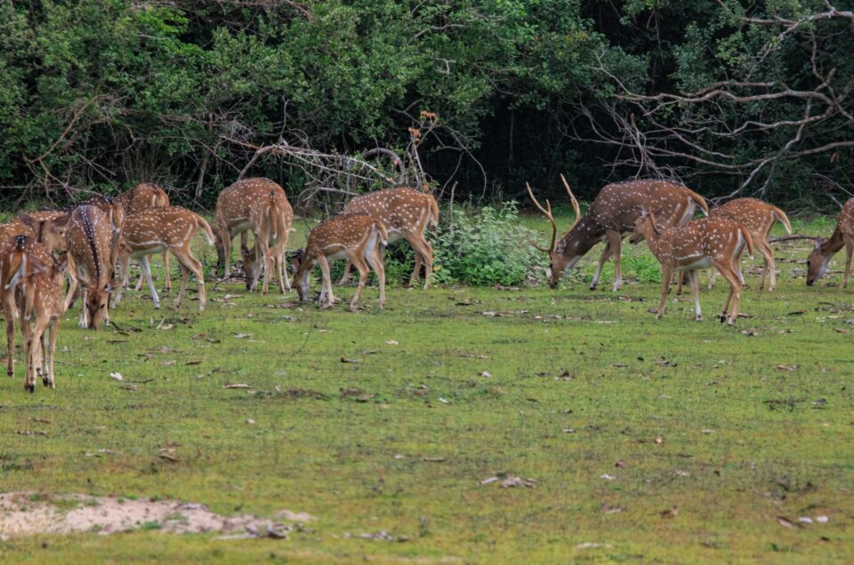 final-dl.beatsnoop.com-laXVBpYC16